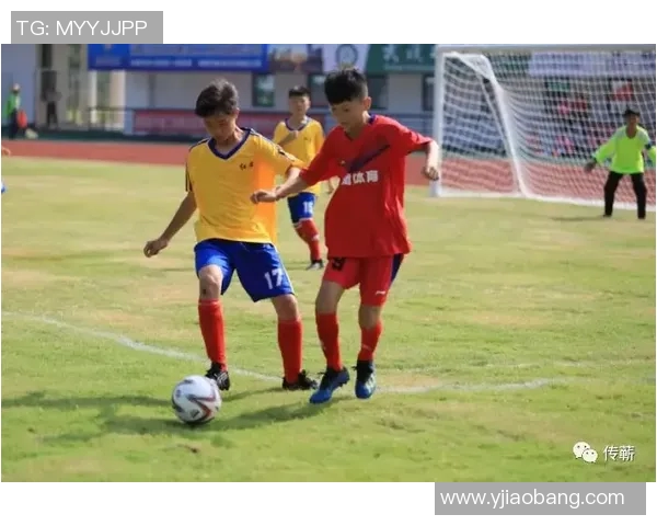 绿茵场上激情四射球星携手青少年共同见证足球训练时刻